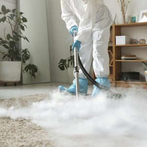 Disinfestazione e Sanificazione Professionale